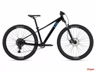 Rowery - Rower Giant Liv Tempt 2 29 Black 2024 - miniaturka - grafika 1
