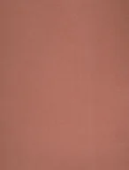 Scrapbooking - Canson Karton Kolorowy Iris Orzechowy - miniaturka - grafika 1