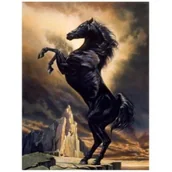 Malowanie po numerach - Diamentowa mozaika. Koń 1006308 - Norimpex - miniaturka - grafika 1