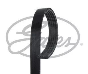 Pasek klinowy wielorowkowy Gates 5PK1733 - Paski klinowe i wielorowkowe - miniaturka - grafika 1