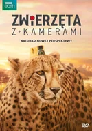 Pozostałe filmy DVD - Zwierzęta z kamerami - miniaturka - grafika 1