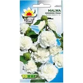 Nasiona i cebule - MALWA ogrodowa PEŁNA BIAŁA prawoślaz nasiona 0,5g - miniaturka - grafika 1