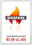 Systemy ekspozycyjne i znaki informacyjne - Rama zatrzaskowa owz B1 niezapalna, ognioodporna - miniaturka - grafika 1