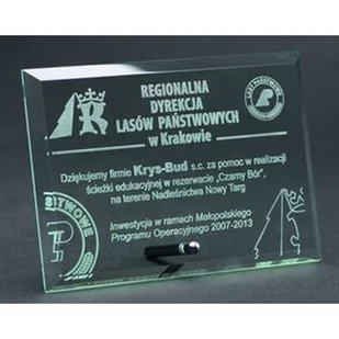 Trofeum szklane grawerowane - Gadżety dla kibiców - miniaturka - grafika 1