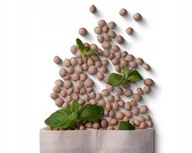 Termofory - Wkład Cherrypad  Mięta, eukaliptus, aromactiv - miniaturka - grafika 1