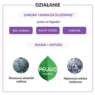 Przeziębienie i grypa - usp zdrowie sp. z o.o Pelavo Gardło Spray, 30 ml - miniaturka - grafika 1