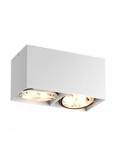 Zuma Line LAMPA WEWNĘTRZNA SPOT) BOX SL 2 SPOT 89949 white) 1717-005-200-000-0006 - Lampy sufitowe - miniaturka - grafika 1