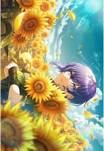 Plakat Anime Manga D4DJ D4DJ_051 A2 (custom)