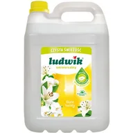 Środki do kuchni i łazienki - Inco-Varitas Płyn uniwersalny Ludwik mydło marsylskie 5l - miniaturka - grafika 1