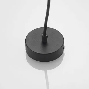 Zasilacz Lindby Linaro, czarny, system 1-fazowy - Lampy pozostałe - miniaturka - grafika 3