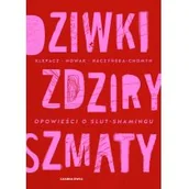 Felietony i reportaże - Dziwki zdziry szmaty Opowieści o slut-shamingu Nowa - miniaturka - grafika 1