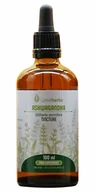 Suplementy naturalne - Lymeherbs, Ashwagandha (Żeń-szeń indyjski) nalewka 1:5, 100 ml - miniaturka - grafika 1