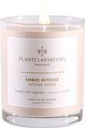 Świece - PLANTES&PARFUMS PROVENCE Świeca zapachowa perfumowana - Intense Amber - Drogocenna Ambra 070216 - miniaturka - grafika 1