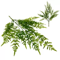 Sztuczne kwiaty - PAPROĆ ZIELONY BUKIET LIŚCI - GUMOWE PEŁNE LIŚCIE PAPROCI W BUKIECIE 73 CM - miniaturka - grafika 1