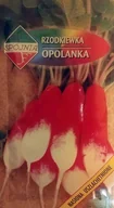 Nasiona i cebule - Nasiona Rzodkiewka Opolanka 5 G Spójnia - miniaturka - grafika 1