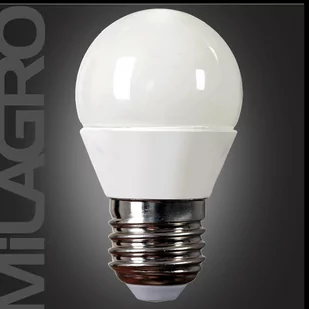 Eko-Light Żarówka LED 20 SMD 2835 4W E27 230V 330LM Zimna biała EKO171-ZAR EKO171-ZAR - Akcesoria do oświetlenia - miniaturka - grafika 1