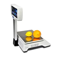 Wagi specjalistyczne - CAS ER JUNIOR 15 P RS - miniaturka - grafika 1