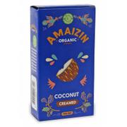 Pasty warzywne - Amaizin Pasta kokosowa BIO - Amaizin- 200g BP-8717496906700 - miniaturka - grafika 1