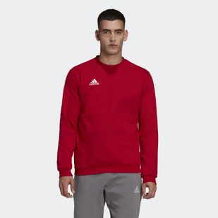 Bluza adidas Entrada 22 - Piłka nożna - miniaturka - grafika 1