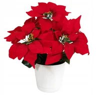 Sztuczne kwiaty - Poinsecja Sztuczna Gwiazda Betlejemska w Doniczce Ozdoba - miniaturka - grafika 1