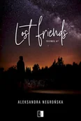 Literatura obyczajowa - Lost Friends. Friends. Tom 7 - miniaturka - grafika 1