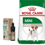 Sucha karma dla psów - Royal Canin Mini Adult 8 kg - miniaturka - grafika 1