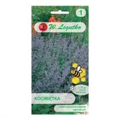 Nasiona i cebule - Legutko Kocimiętka niebieskofioletowa - miniaturka - grafika 1