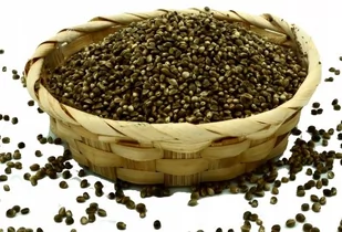 Naturini, ziarna konopi niełuskane naturalne polskie, 1 kg - Zdrowa żywność Naturini, ziarna konopi niełuskane naturalne polskie, 1 kg - Zdrowa żywność - miniaturka - grafika 1