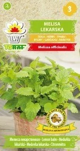 Toraf Melisa lekarska nasiona ziół 0,5g 00038 - Nasiona i cebule - miniaturka - grafika 1