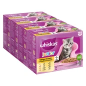 Mokra karma dla kotów - Megapakiet Whiskas Junior w saszetkach, 48 x 85 g - Wybór dań drobiowych w galarecie - miniaturka - grafika 1