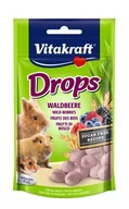 Przysmaki dla gryzoni - Vitakraft Drops Waldbeere dropsy z owocami leśnymi dla gryzoni 75g - miniaturka - grafika 1