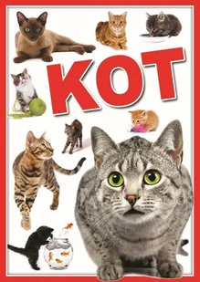 zbiorowe Opracowanie KOTY BIBLIOTEKA WIEDZY - Rośliny i zwierzęta - miniaturka - grafika 1