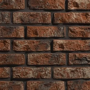 Stegu Płytka cegłopodobna RUSTIK 540 - Płytki ceramiczne - miniaturka - grafika 1
