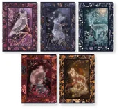 Zeszyty szkolne - Zeszyt Top 2000 Fairytale Story A4 60 kartek w kratkę - miniaturka - grafika 1