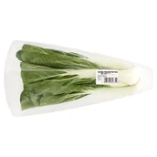 Warzywa świeże i suszone - Sałata - Pak Choi - miniaturka - grafika 1