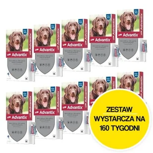 Krople na pchły i kleszcze BAYER Advantix Spot-on Duże psy (25-40 kg) 40 x 4 ml - Artykuły przeciw pasożytom - miniaturka - grafika 1
