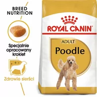 Sucha karma dla psów - Royal Canin Poodle Adult 1,5 kg - miniaturka - grafika 1