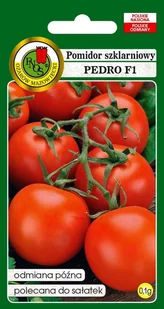 Pomidor tunelowy Pedro F1 0.1 g PNOS - Nasiona i cebule - miniaturka - grafika 1