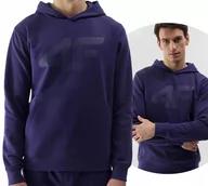Bluzy męskie - Bluza dresowa kangurka z kapturem męska 4F - miniaturka - grafika 1