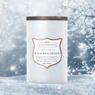 Świece - Sojowa świeca zapachowa drewniany knot w szkle Colonial Candle 566 g - Warm Beachwood - miniaturka - grafika 1