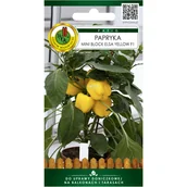 Nasiona i cebule - Papryka Mini Block Elsa Orange nasiona 15szt. Pnos - miniaturka - grafika 1