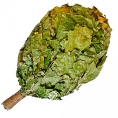 Sauny - Witki z dębu kanadyjskiego do sauny, bani - 1 szt - miniaturka - grafika 1