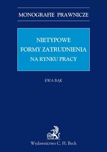 Nietypowe Formy Zatrudnienia na Rynku Pracy - E-booki - prawo - miniaturka - grafika 1