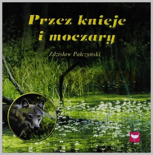 Przez Knieje i Moczary Głosy Ptaków - Muzyka relaksacyjna - miniaturka - grafika 1