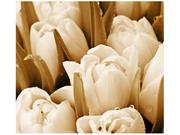 Fototapety - Oobrazy Fototapeta, Świeże tulipany, 6 elementów, 268x240 cm - miniaturka - grafika 1