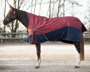 Derka padokowa High Neck 150g 600D AW 22/23 - QHP - saddlery - Derki dla konia - miniaturka - grafika 1