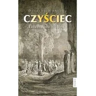 Religia i religioznawstwo - Czyściec Tajemnica miłości - miniaturka - grafika 1