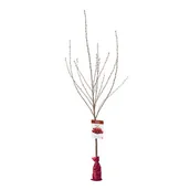 Kwiaty doniczkowe - Drzewko owocowe w balocie Wiśnia wys. 160-170 cm - miniaturka - grafika 1