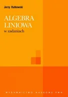 Matematyka - Algebra liniowa w zadaniach - miniaturka - grafika 1
