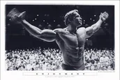 Plakaty - Close, Plakat, CLOSE, Arnold Schwarzenegger Kulturysta, 91,5x61 cm - miniaturka - grafika 1